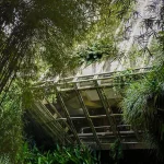 How to Balance Brutalism and Biophilia in Architecture