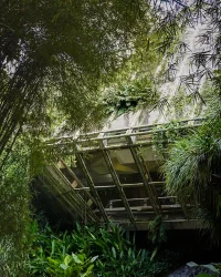 How to Balance Brutalism and Biophilia in Architecture