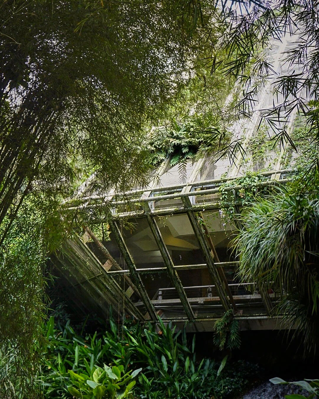 Key Strategies for Balancing Brutalism & Biophilia in Architecture 10 How to Balance Brutalism and Biophilia in Architecture