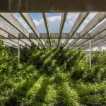 How to Balance Brutalism and Biophilia in Architecture