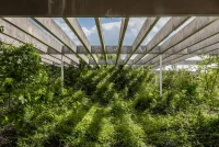 How to Balance Brutalism and Biophilia in Architecture