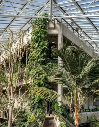 How to Balance Brutalism and Biophilia in Architecture