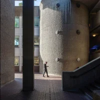 How to Balance Brutalism and Biophilia in Architecture