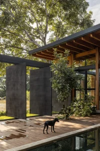 Natura Futura, The House of Time