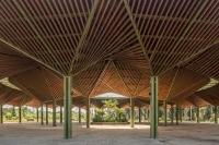 The Future of Biophilic Design Is Already Taking Shape
