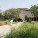 Low-Rise Sculptural Architecture Blends Landscape, Vernacular Form, and Climate-Driven Design