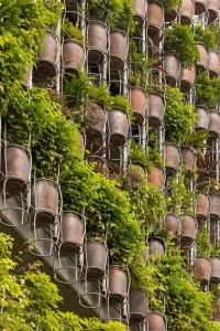 Flying Vegetation: A Vietnamese Residence by H&P Architects Redefining Agritecture