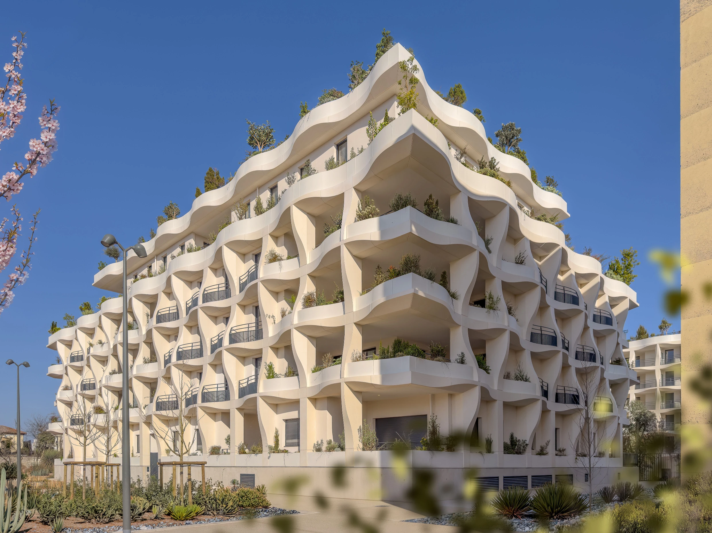 Jardins Secrets Project: A Duo of Bioclimatic Shells at Montpellier’s Cité Créative
