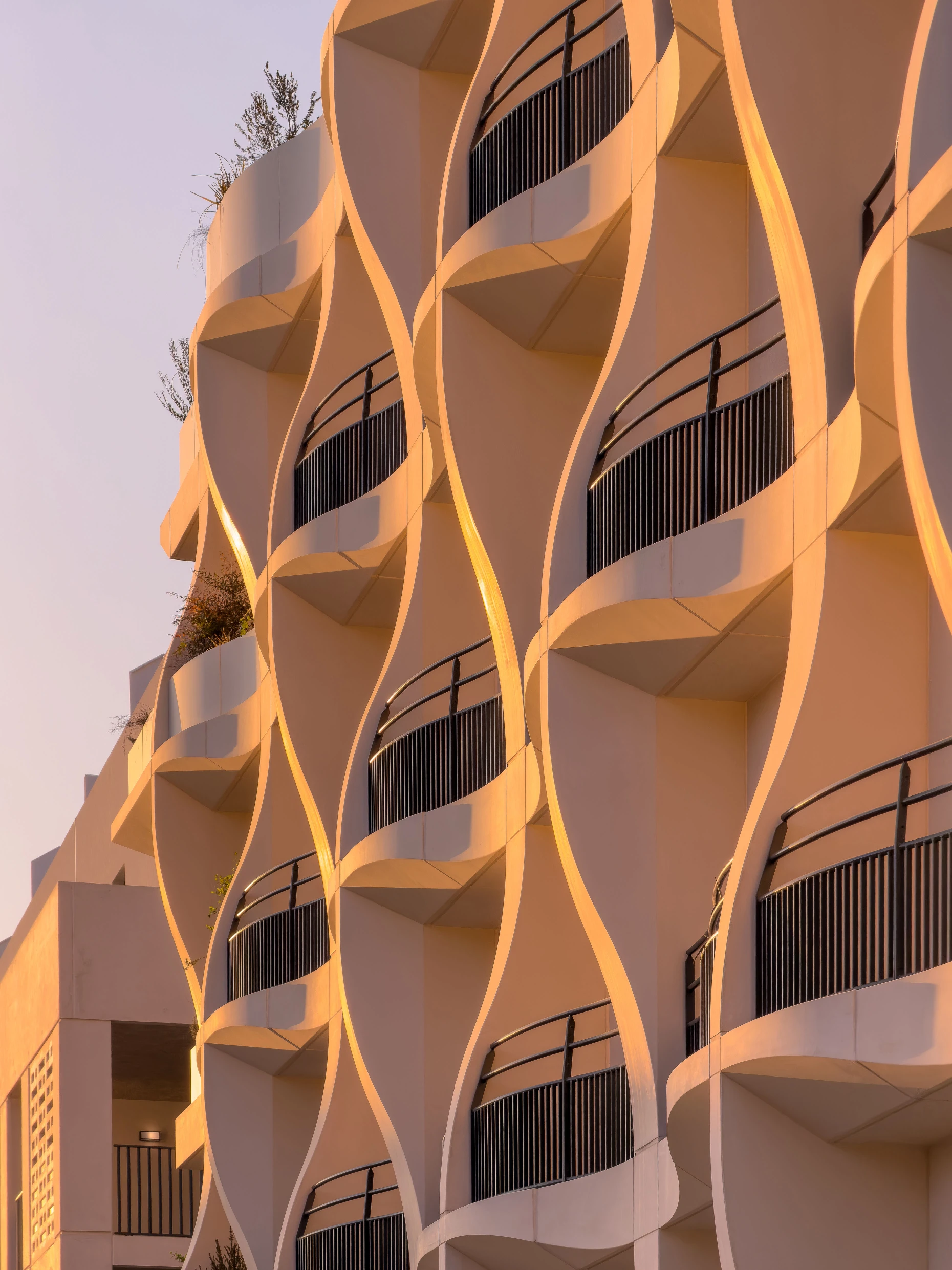Jardins Secrets Project: A Duo of Bioclimatic Shells at Montpellier’s Cité Créative