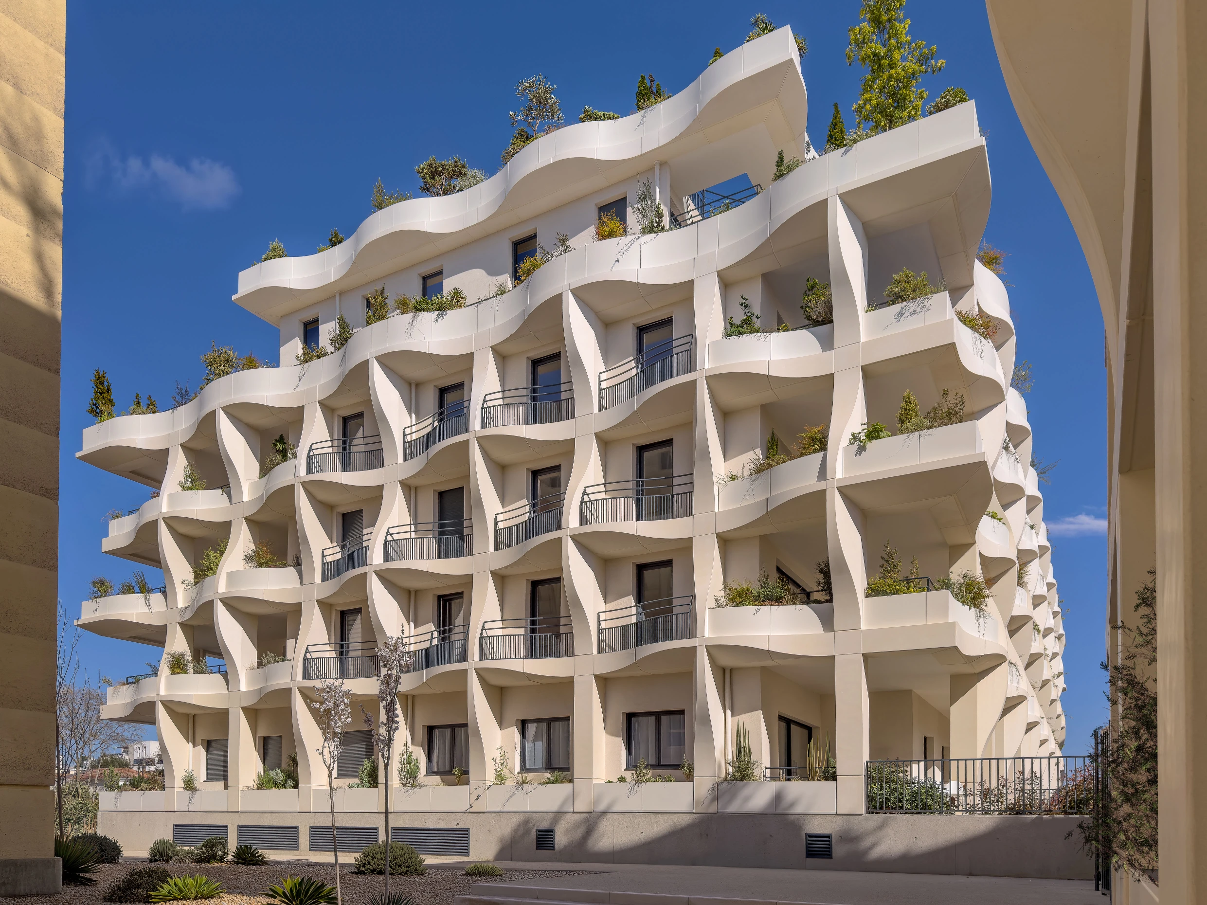 Jardins Secrets Project: A Duo of Bioclimatic Shells at Montpellier’s Cité Créative