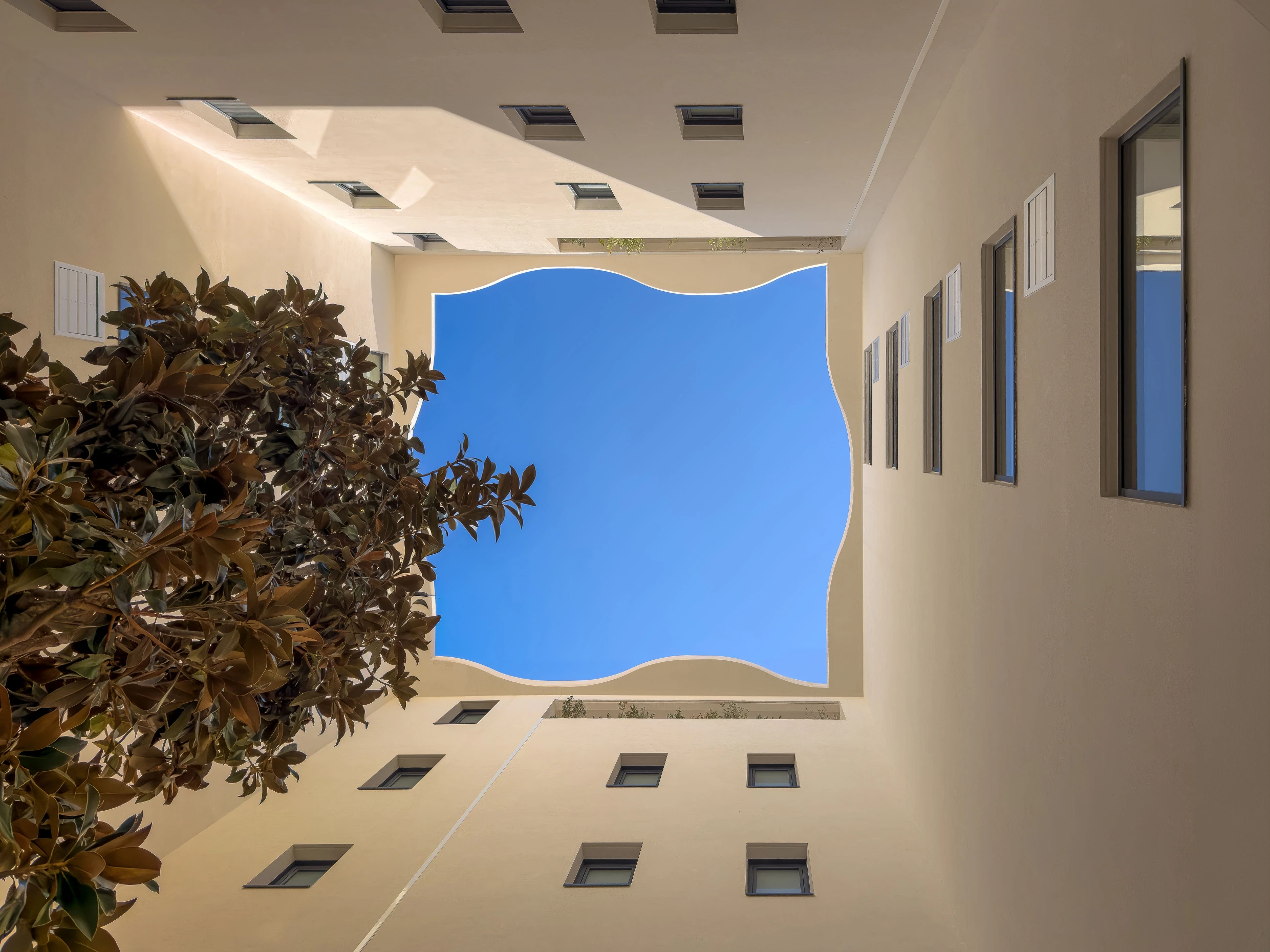 Jardins Secrets Project: A Duo of Bioclimatic Shells at Montpellier’s Cité Créative