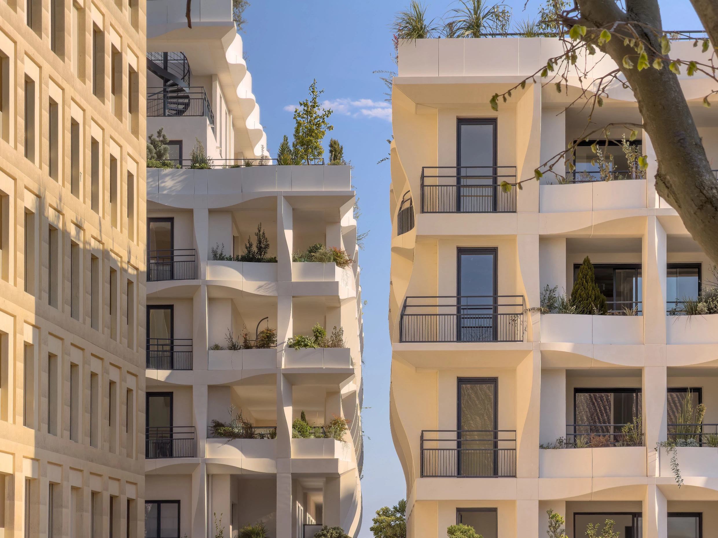Jardins Secrets Project: A Duo of Bioclimatic Shells at Montpellier’s Cité Créative