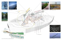 Modern Rainwater Harvesting Systems in Architecture