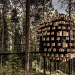 Design a treehouse suite in a piece of heaven with the Architecture for Hospitality course at Yacademy