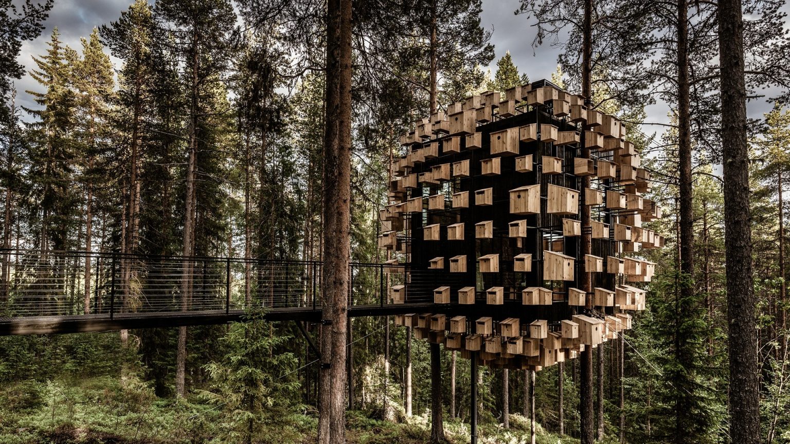 Design a treehouse suite in a piece of heaven with the Architecture for Hospitality course at Yacademy