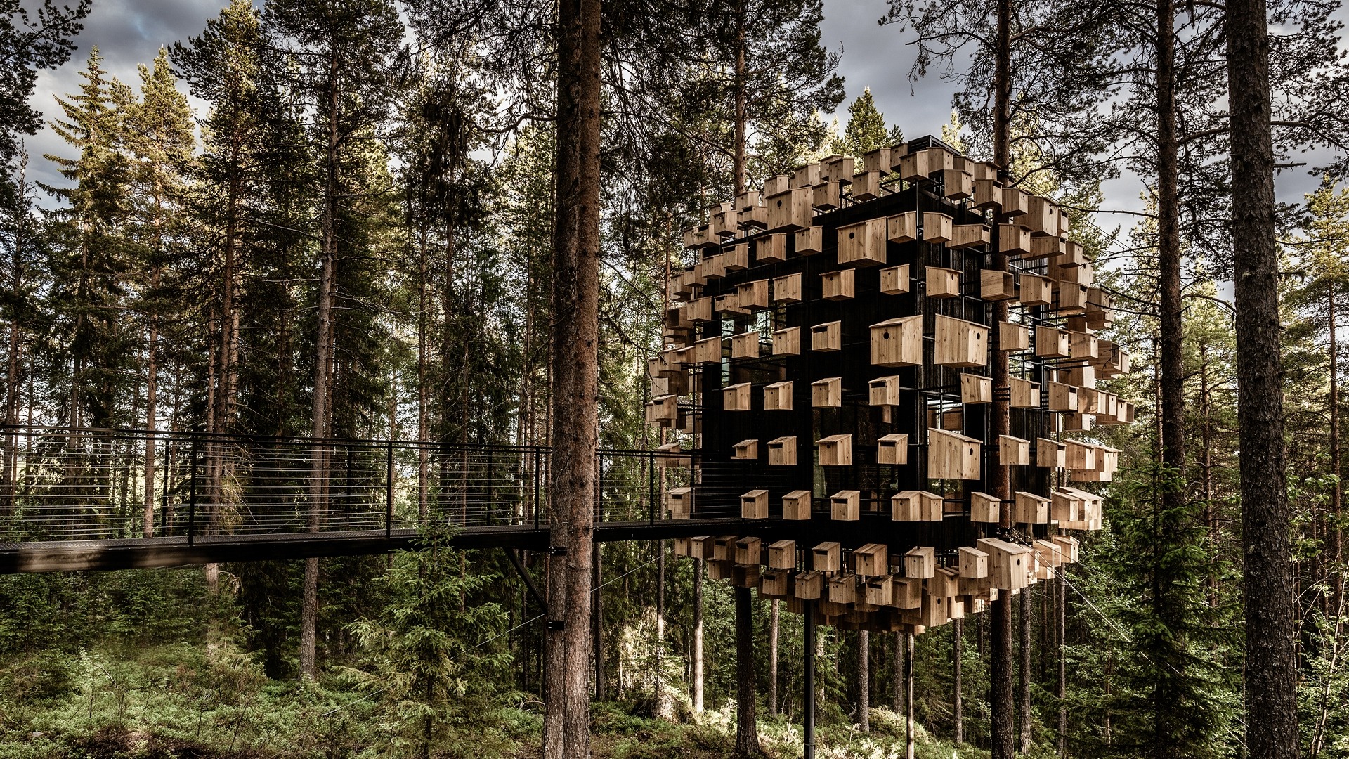 Design a treehouse suite in a piece of heaven with the Architecture for Hospitality course at Yacademy