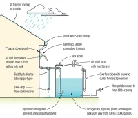 Modern Rainwater Harvesting Systems in Architecture