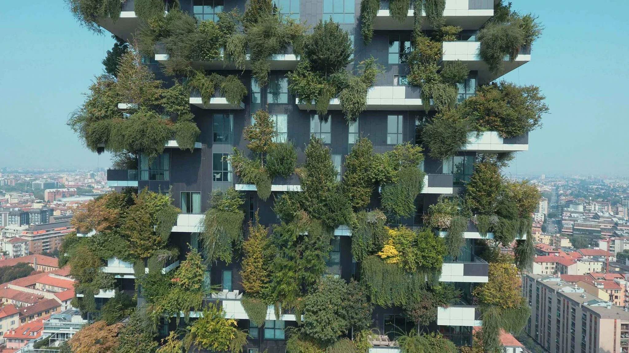Top 10 Passive Design Strategies Architects Are Using Right Now