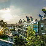The Art of Building Green Begins with Sustainable Design Strategies