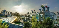 The Art of Building Green Begins with Sustainable Design Strategies