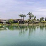 The Lotus Clubhouse in Vietnam is Designed as a Living Organism Shaped by Water and Forests
