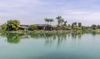 The Lotus Clubhouse in Vietnam is Designed as a Living Organism Shaped by Water and Forests