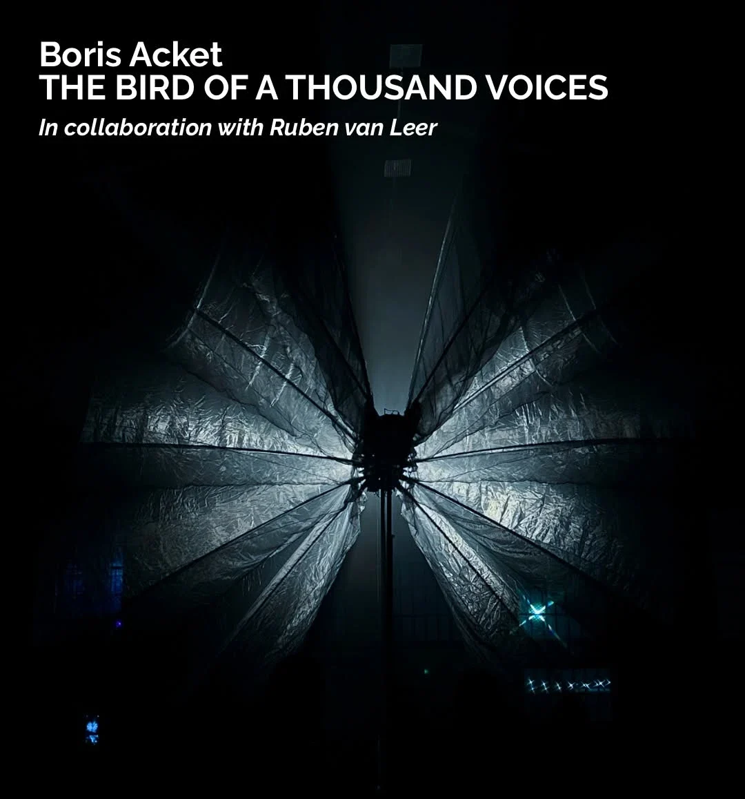 Leonardo da Vinci’s Flying Dreams Reborn in Boris Acket’s The Bird of a Thousand Voices 7 Boris Acket’s The Bird of a Thousand Voices