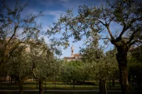 Holy See Pavilion at Venice Biennale 2026