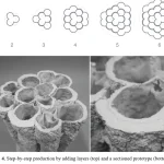 Structural Cellulose