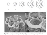 Structural Cellulose