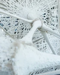 Structural Cellulose