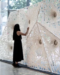 Structural Cellulose