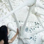Structural Cellulose