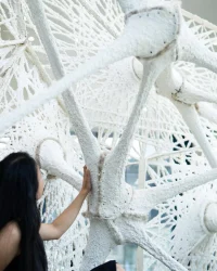 Structural Cellulose