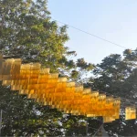 A-L-M-A-D-R-A-V-A: A Kinetic Installation by Moradavaga