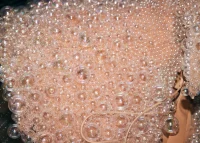 Eileen Gu’s Airo Bubble Dress at the Met Gala 2026 Designed by Iris van Herpen