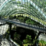 Climate-Responsive Architecture