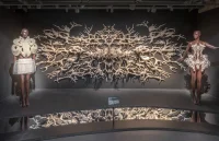 Iris van Herpen: Sculpting the Senses