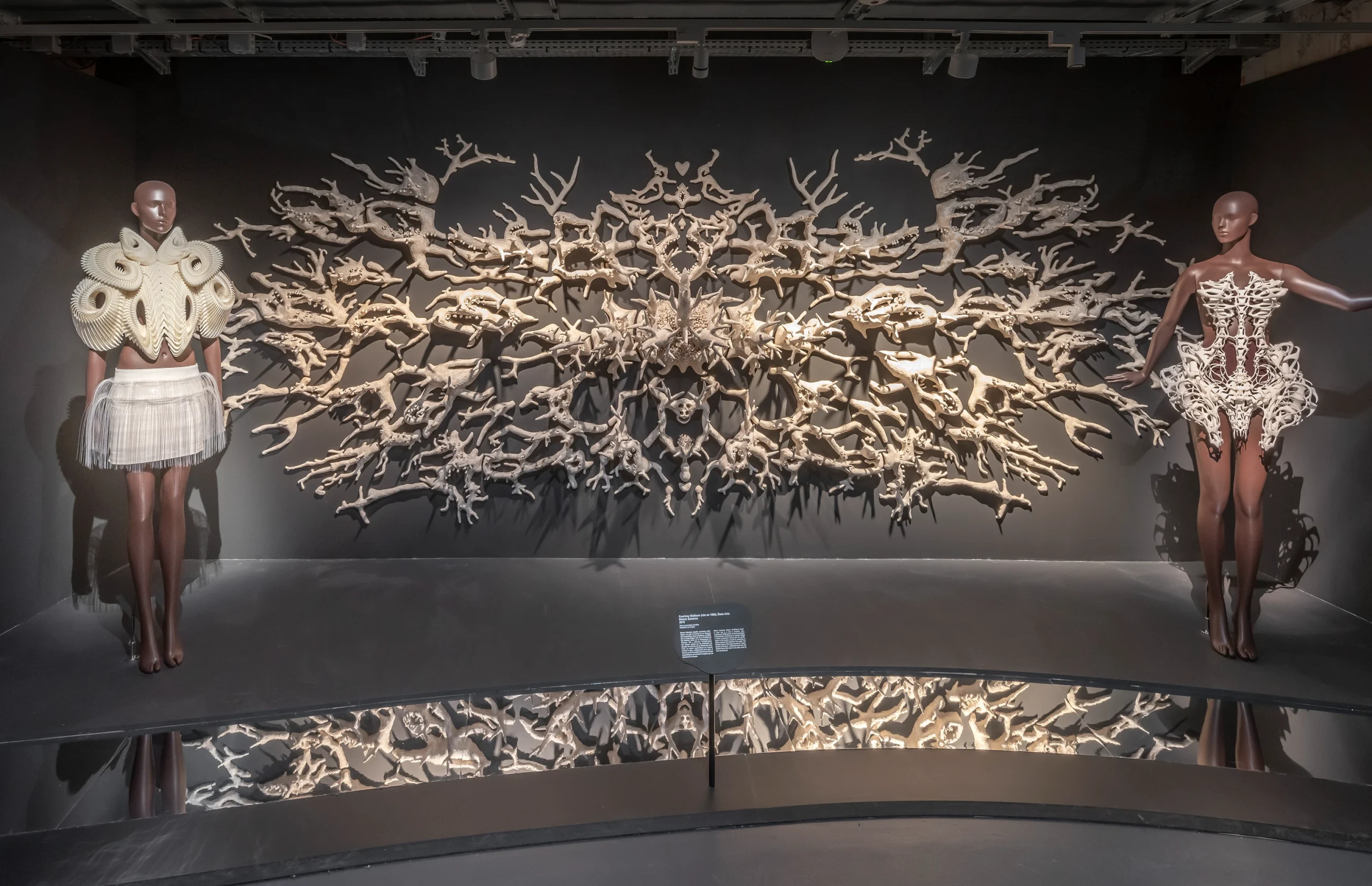 Iris van Herpen: Sculpting the Senses