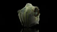 Adaptive System: A Computational Design Methodology for Responsive Clothing
