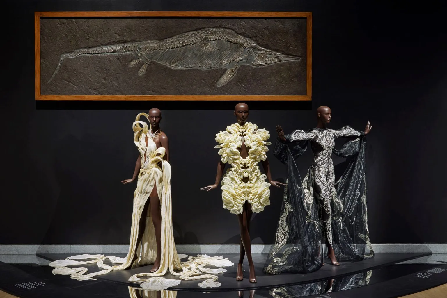 At the Brooklyn Museum, 'Sculpting the Senses' Unfolds Iris van Herpen's Experimental Design Future