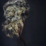 Iris van Herpen: Sculpting the Senses