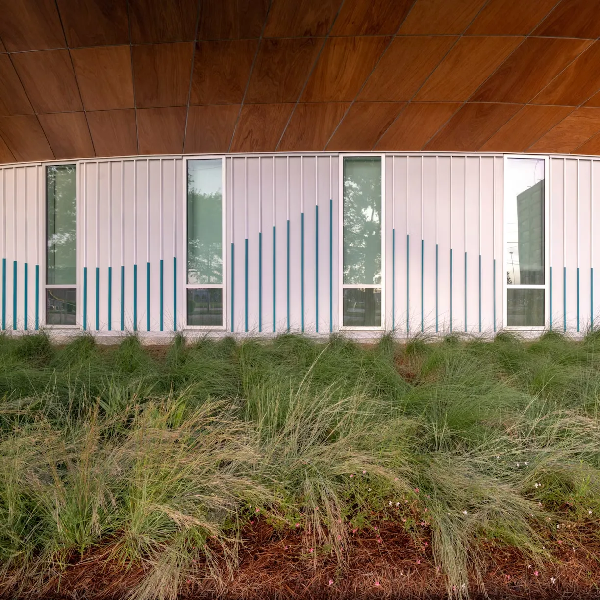 EskewDumezRipple Designs Gulf Coast Bank Elmwood as a Net-Positive Banking Prototype 6 EskewDumezRipple Designs Gulf Coast Bank Elmwood as a Net-Positive Banking Prototype