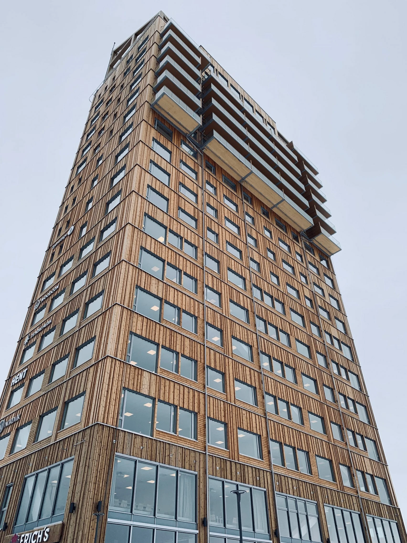 The Rise of Engineered Mass Timber in Global Construction 15 Mass timber