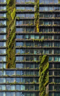 Climate-Responsive Architecture