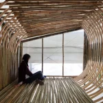 The Future of Micro-Living