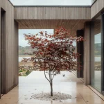Brown & Brown Release Scottish Modern, A New Book on Contemporary Scottish Home Design
