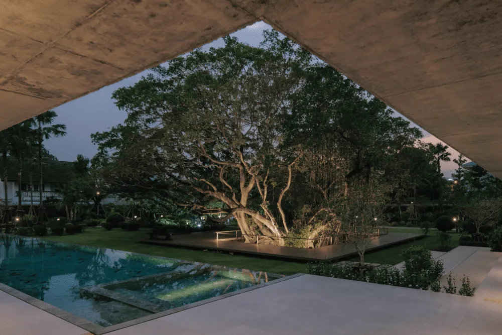 Anonym’s Baan Saikhoo Residence Wraps Everyday Living Around Twin Banyan Trees in Thailand 5 Baan Saikhoo