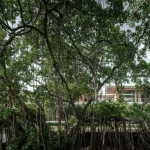 Twin Banyan Trees Define Anonym’s Baan Saikhoo Residence in Thailand