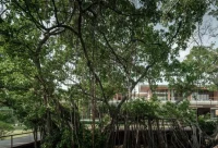 Twin Banyan Trees Define Anonym’s Baan Saikhoo Residence in Thailand
